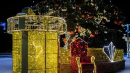 Trony i siedziska świąteczne